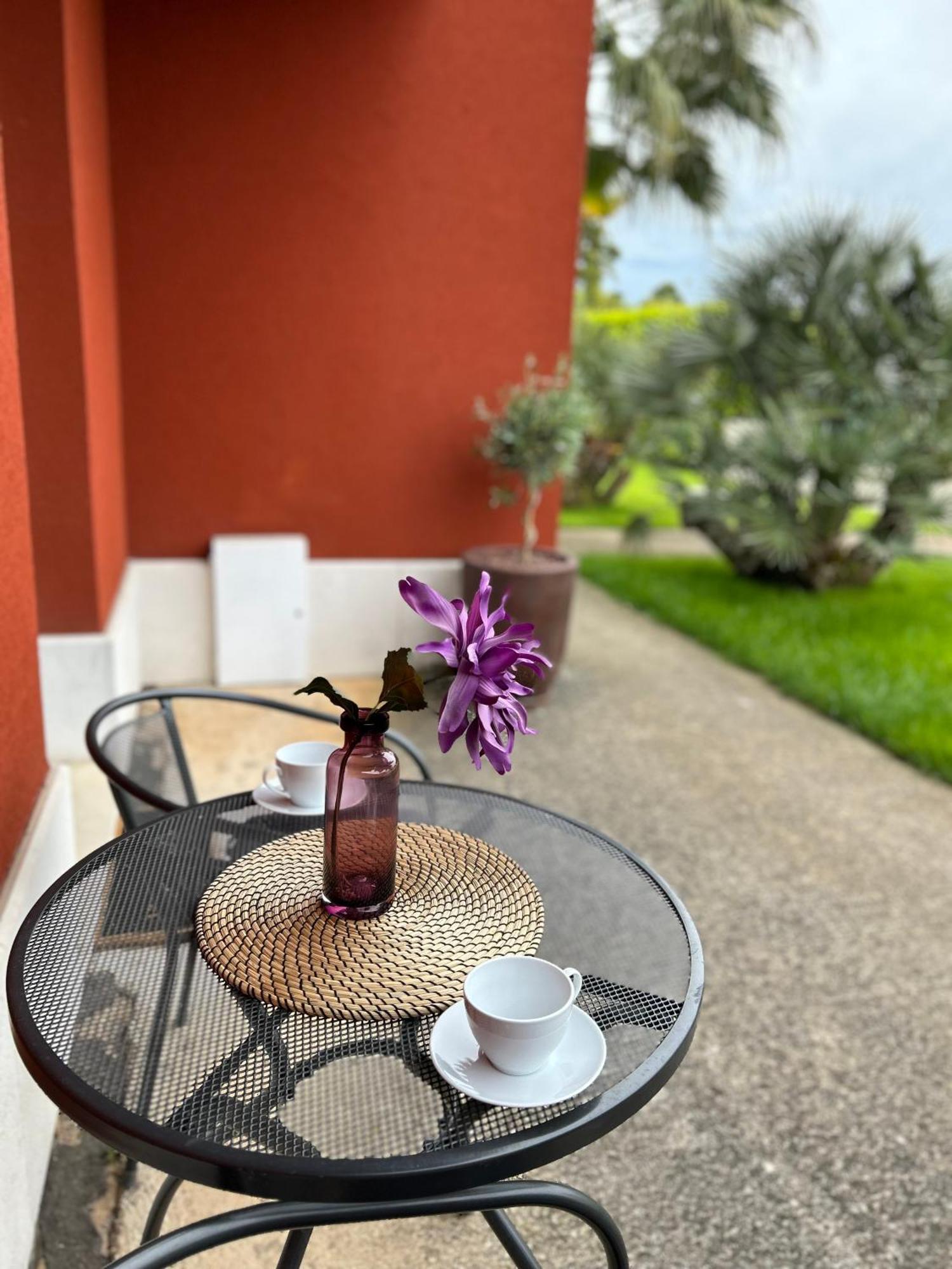 Ivni Apartmani Novigrad Istria Dış mekan fotoğraf