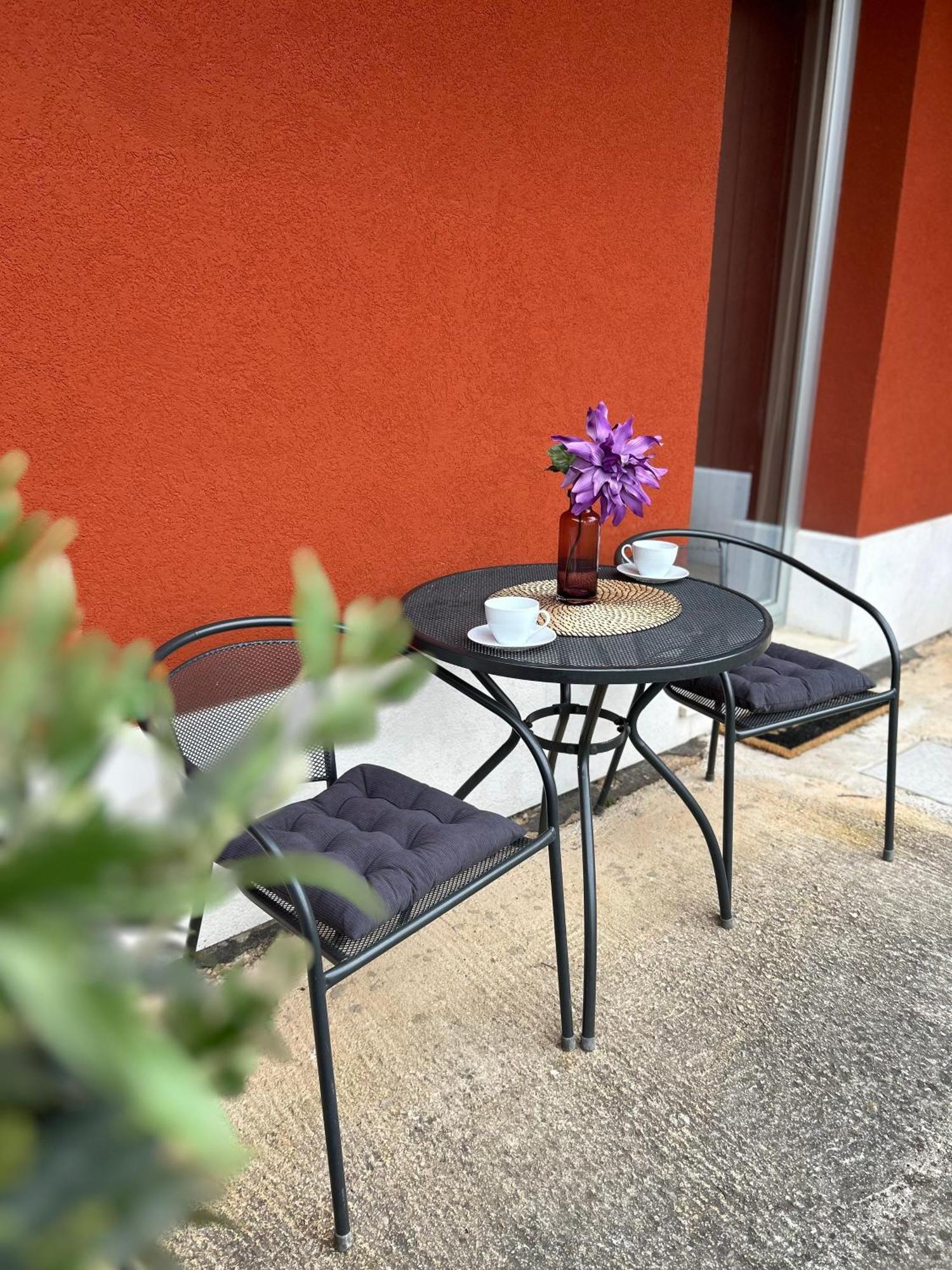 Ivni Apartmani Novigrad Istria Dış mekan fotoğraf